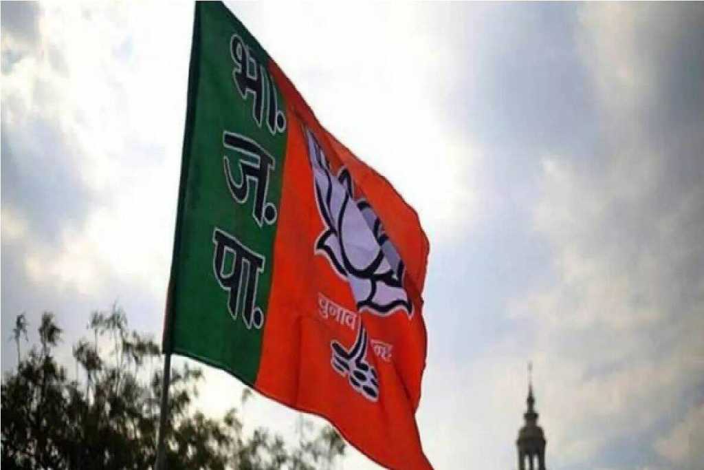 प्रदेश BJP में 9 प्रवक्ता, 31 पैनलिस्ट नियुक्त    