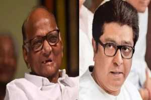 sharad-pawar-raj-thackeray