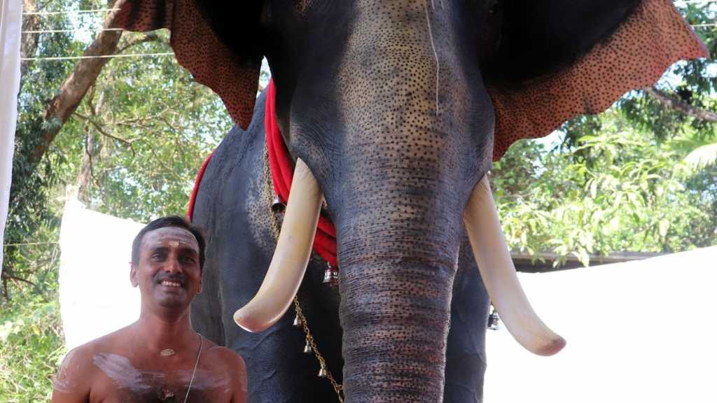 मंदिर में पहली बार दिखा रोबोटिक हाथी, पुजारी ने दिया ये बयान