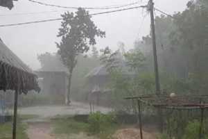 heavy-rain-crop-destroyed-buldhana