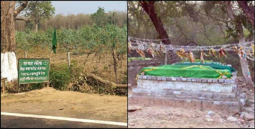 उत्तराखंड के जंगलों में सैकड़ों अवैध मजार, CM धामी ने कहा- होगी कार्रवाई