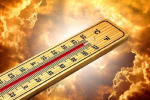 Indian Meteorological Department thermometer