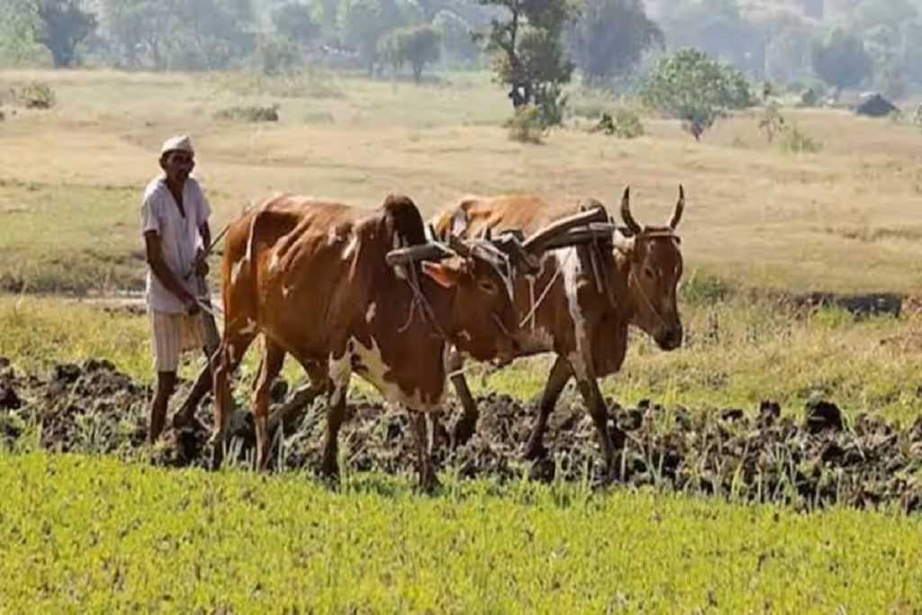 किसान आत्महत्या रिपोर्ट: 25 हजार हेक्टेयर सब्सिडी मिले तो 51 हजार 737 करोड़ लगेंगे