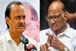 Sharad-Pawar-Ajit-Pawar