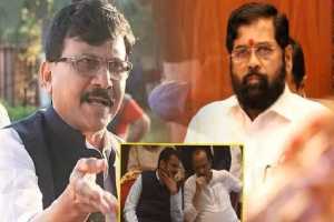 sanjay-raut-says-devendra-fadnavis