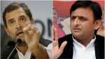 samajwadi party not contest these seats give them congress or rld