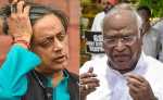 congress leader shashi tharoor said if india alliance wins loksabha election 2024 then mallikarjun kharage or rahul gandhi would pm face