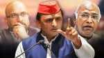 mp assembly election 2023 congress vs samajwadi party akhilesh yadav