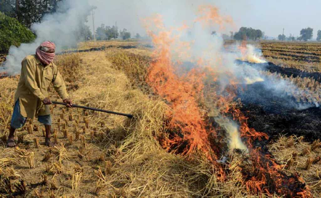 पराली जलाने पर सख्त SC, कहा- ऐसे किसानों के अनाज न खरीदे सरकार      