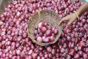 central-government-bans-on-onion-exports-farmers-from-nashik-preparing-for-market-closed