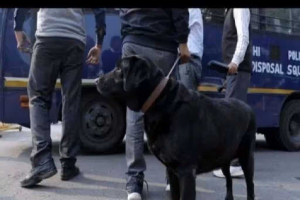 मुंबई: खोजी कुत्ते और 10 साल की बच्ची ने बैंक डकैती में दो लुटेरों को मार गिराया​ ​!