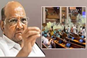 sharad-pawar-ncp-post-after-security-breach-in-parliament-and-loksabha