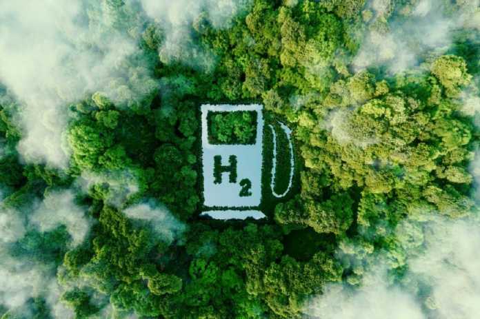 green hydrogen future fuel of india