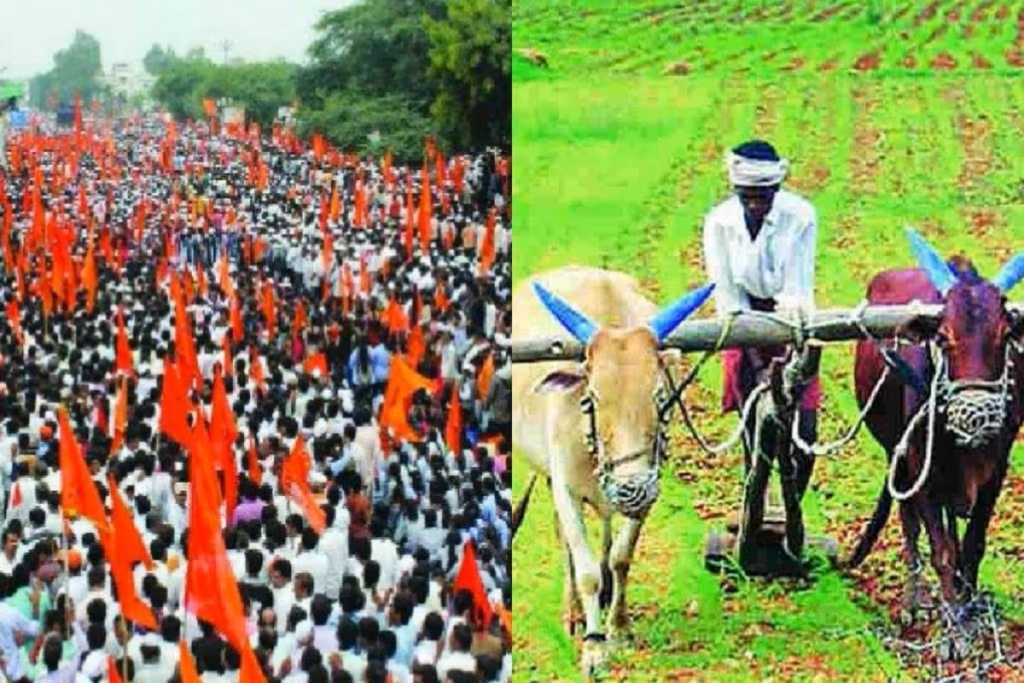 मराठा समुदाय के पास कितनी जमीन है? पिछड़ा वर्ग आयोग द्वारा मांगी गई जानकारी!