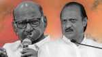 ncp party dispute election commission decision ajit pawar and sharad pawar faction