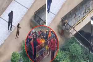 seven-year-old-boy-throws-puppy-from-20-feet-in-noida-his-father