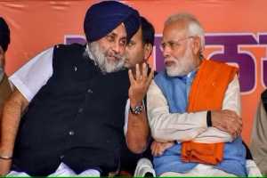 Lok-Sabha-Elections-2024-BJP-will-contest-elections-alone-in-Punjab-could-not-agree-with-Akali-Dal
