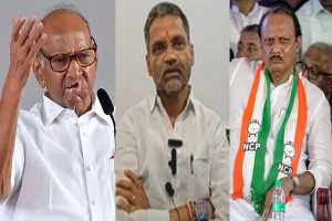 Ncp-mla-nilesh-lanke-said-that-he-not-decided-to-go-with-sharad-pawar