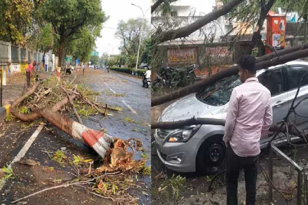 बेमौसम बारिश से सैकड़ों पेड़ गिरे, ओलावृष्टि से कृषि को भारी क्षति!