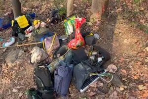 11-Naxalites-killed-in-encounter-with-security-personnel-in-Chhattisgarh-and-Madhya-Pradesh