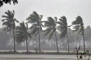 Monsoon-update-Rain-will-start-on-this-day-in-maharashtra-state-including-Mumbai