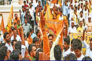 chandrababu-naidu-won-in-andhra-pradesh-election