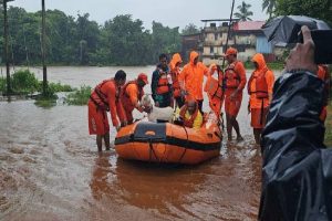 in-sindhudurg-ndrf-rescued-animals-buffalo-and-goats-who-stuck-in-rain-water-due-to-heavy-rain