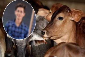 19-year-old-student-shot-dead-by-cow-vigilantes-in-faridabad-five