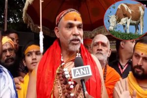 swami-avimukteshwaranand-demands-remove-cows-from-list-of-animals