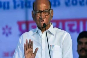 Another-big-blow-to-the-NCP-Sharad-Pawar-group-a-split-in-the-family-of-the-leader