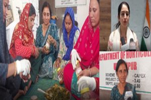 International-Womens-Day-With-the-help-of-government-schemes-a-handful-of-women-took-flight-with-courage-and-managed-the-household-with-skill