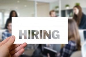 FY25-was-a-great-year-for-Indias-job-market-with-freshers-and-tech-talent-in-great-demand