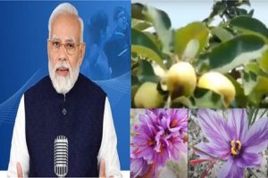 PM-Modi-saluted-the-farmers-who-made-the-impossible-possible-and-told-many-surprising-stories