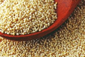 Poppy-seeds-are-no-less-than-nectar-in-summers-Apart-from-providing-coolness-strength-and-freshness-it-is-a-treasure-trove-of-nutrients