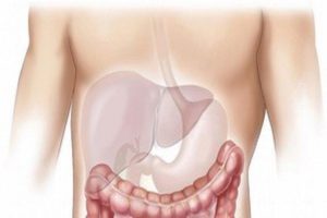 To-keep-your-liver-healthy-get-good-sleep-avoid-junk-food