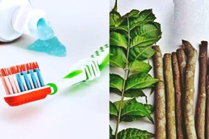 You-will-be-shocked-to-know-Why-is-the-toothpick-described-in-Ayurveda-better-than-the-brush-Which-toothpick-should-be-used-in-which-month