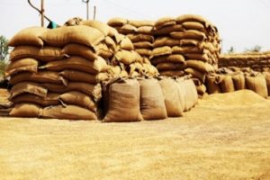 Centres-wheat-procurement-at-MSP-crosses-29.7-million-tonnes