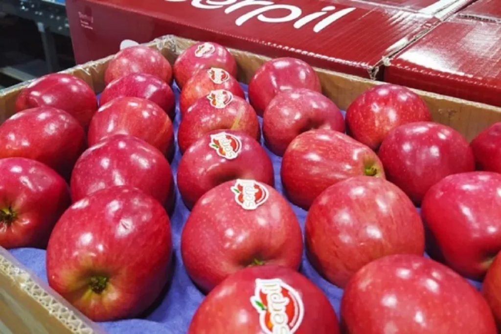 महाराष्ट्र: तुर्किये सेब बहिष्कार पर पुणे के कारोबारी को मिली धमकी!