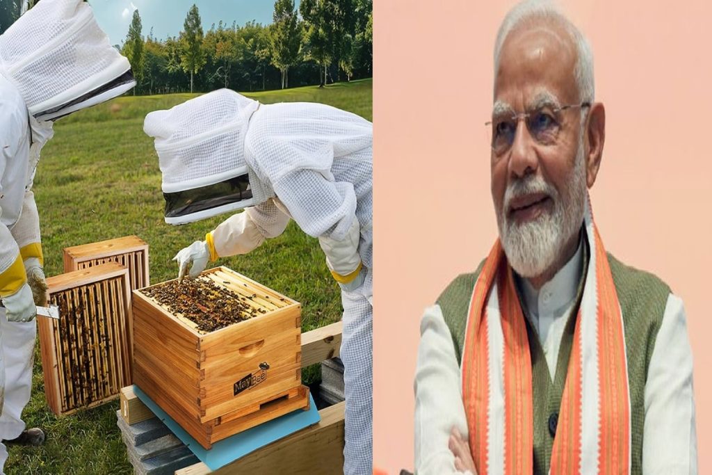 मन की बात: मधुमक्खी पालन और बढ़ते शहद उत्पादन को लेकर खुश पीएम मोदी !