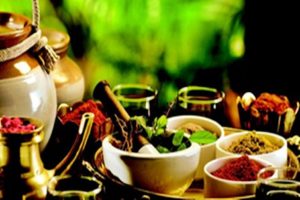 Priyangu-A-miracle-of-Ayurveda-helpful-in-fighting-every-disease-from-stomach-to-skin