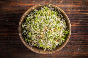 sprouts-in-summer-breakfast-health-benefits-and-how-to-eat