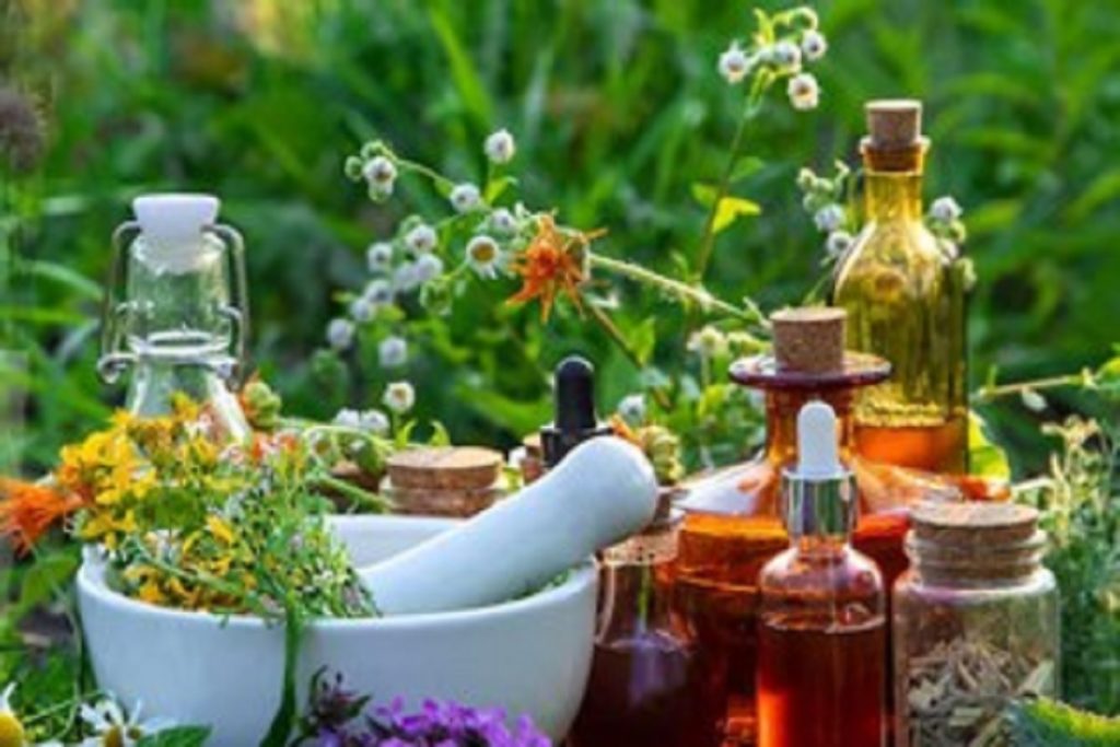 पेट की समस्या होगी दूर, आयुर्वेदिक औषधि में गुण भरपूर!