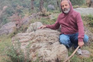 The-oldest-stromatolite-fossils-found-in-Chambaghat-of-Solan-claimed-to-be-600-million-years-old