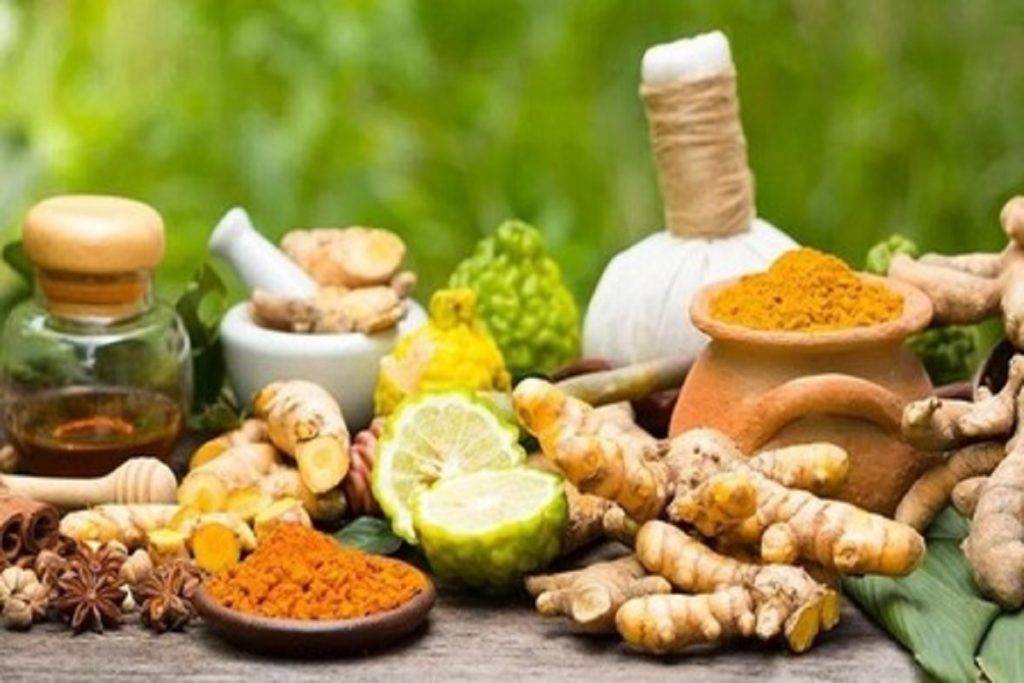 दस जड़ों में छिपा सेहत का खजाना, जानें दशमूल के चमत्कारी फायदे!