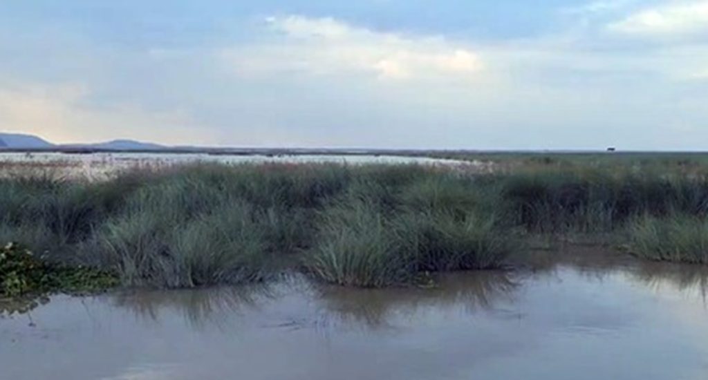 असम में बढ़ा ब्रह्मपुत्र का जलस्तर, स्थानीय जनजीवन प्रभावित भोजन-पानी की चुनौती!