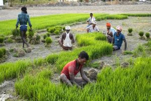 Inflation-rate-for-agricultural-and-rural-workers-declined-in-May-this-year