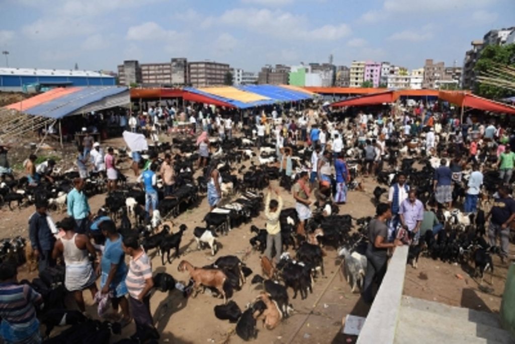 बकरीद पर राज्य सरकारें अलर्ट, प्रतिबंधित कुर्बानी और सोशल मीडिया पर कड़ी नजर!