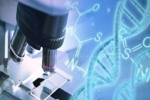 Australian-scientists-discovered-a-protein-that-helps-fight-cancer