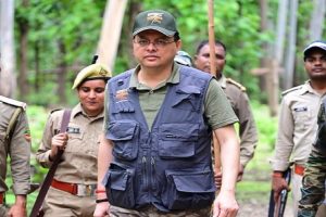 Jungle-safari-tourism-got-a-new-identity-due-to-the-efforts-of-the-government-Dhami