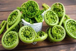 Linguda-is-the-protector-of-health-in-rainy-season-BP-and-weight-control!